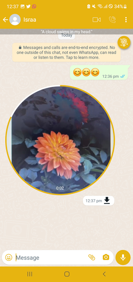 download erwhatsapp