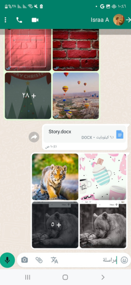 FMWhatsApp2 Chats