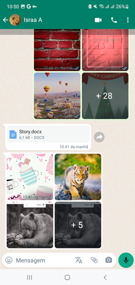 download transparent whastapp