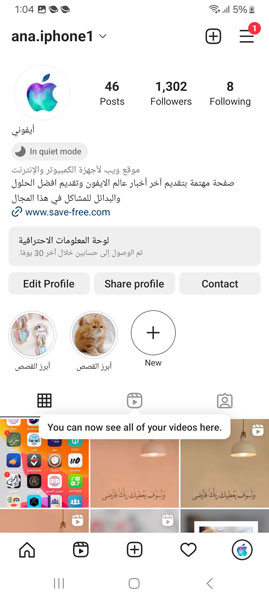 انستا البطريق الذهبي