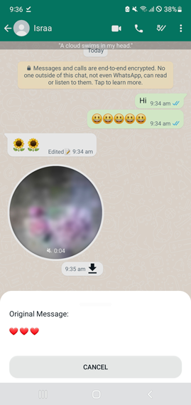تحميل rawhatsapp ios