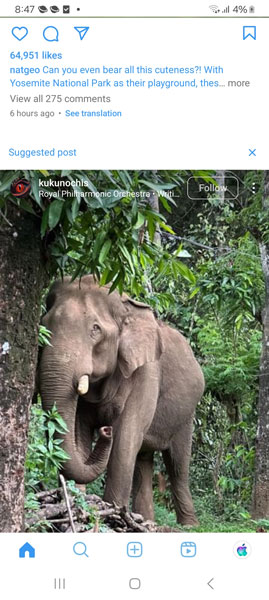 insta blue apk