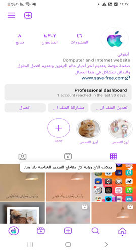 الصفحة الرئيسية في InsLight Purple2
