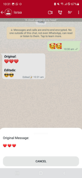 تحميل واتساب ان اس NSWhatsapp 2